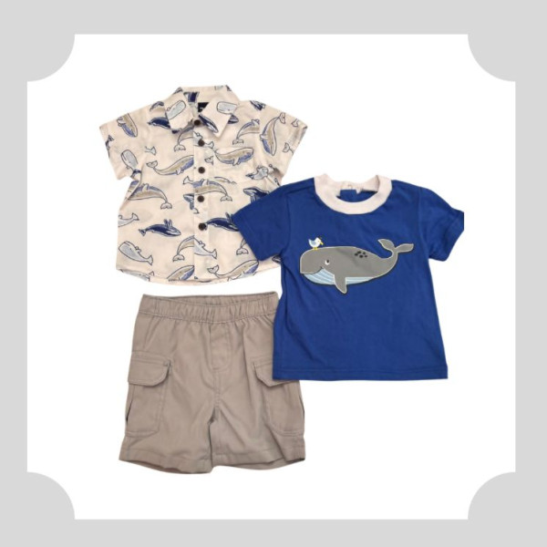 img similar